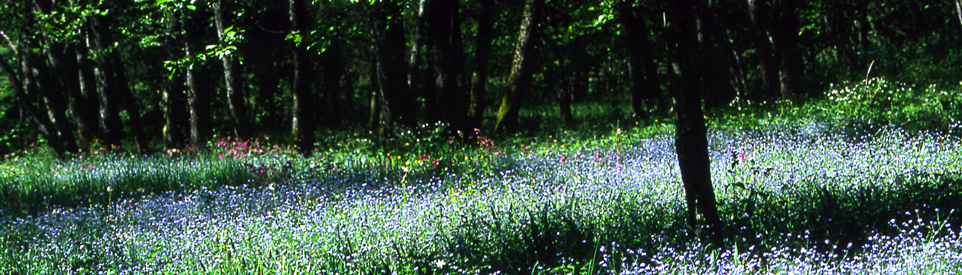 Sentier de l'Imaginaire