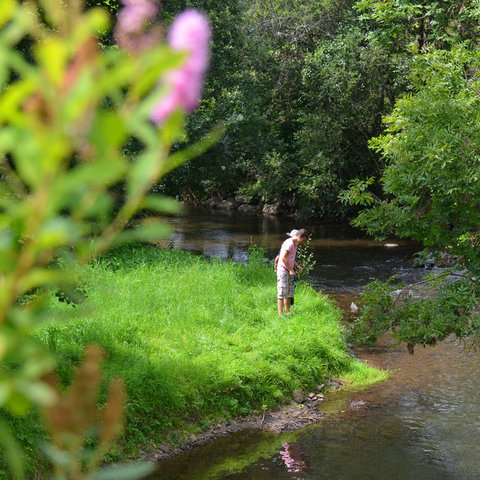 Au fil    de l'Eau